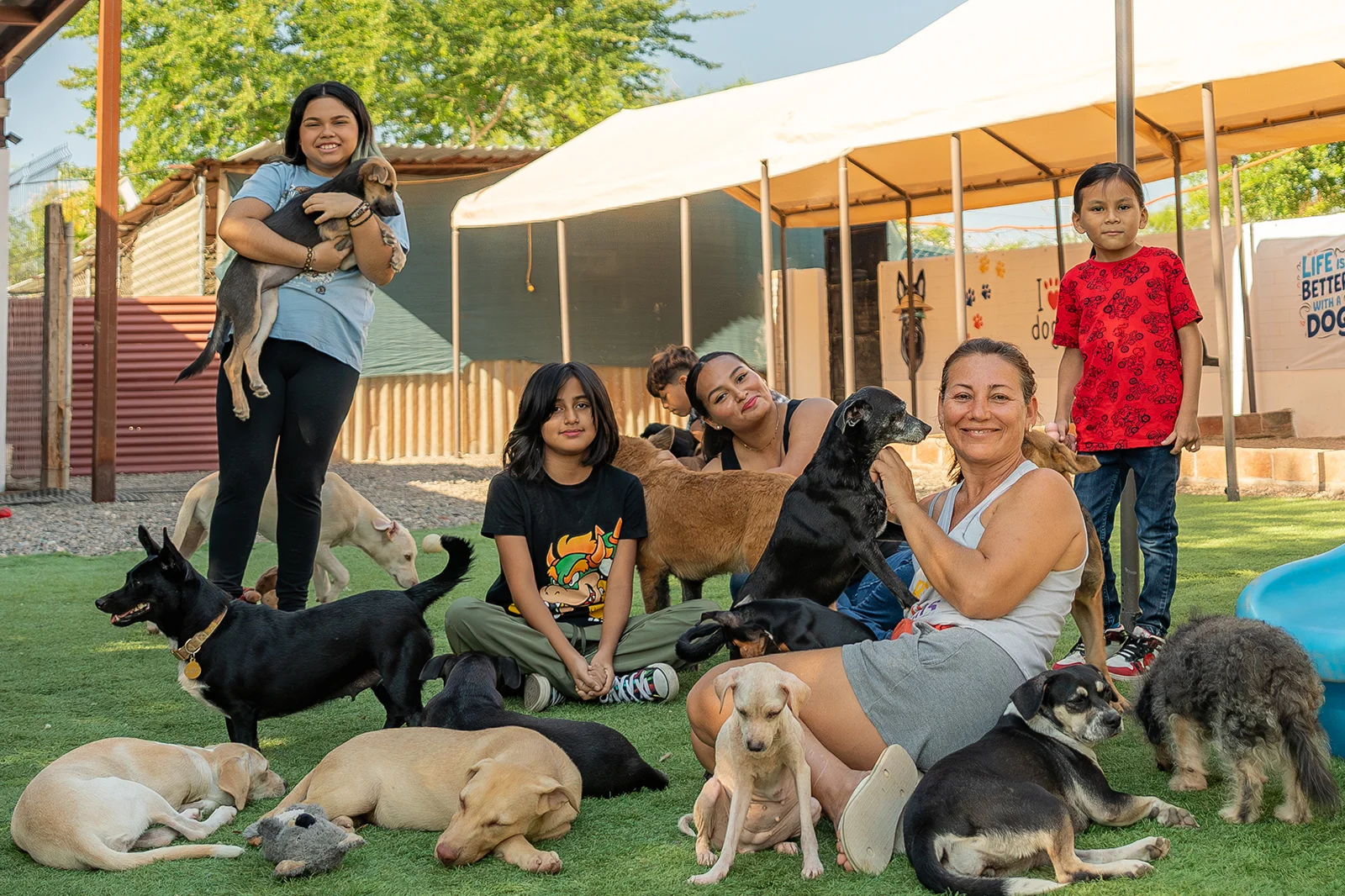 A Dog’s New Life Experience Emotions Resort & Suites