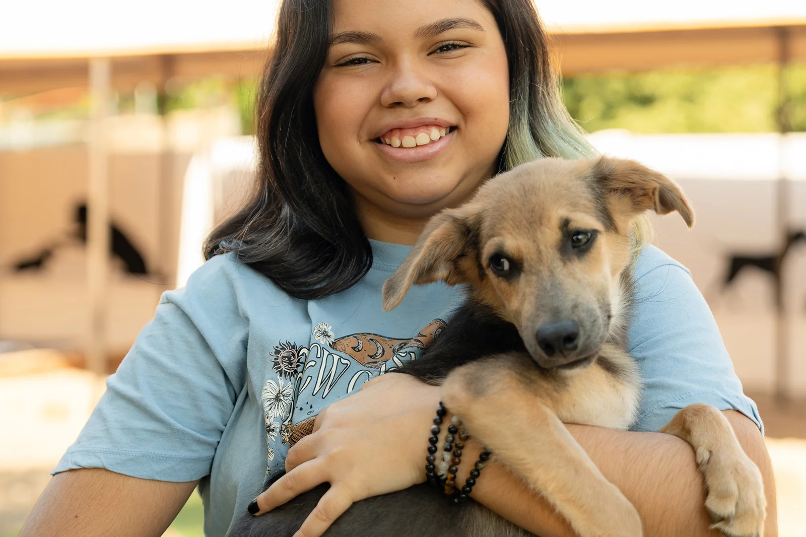 A Dog’s New Life Experience Emotions Resort & Suites