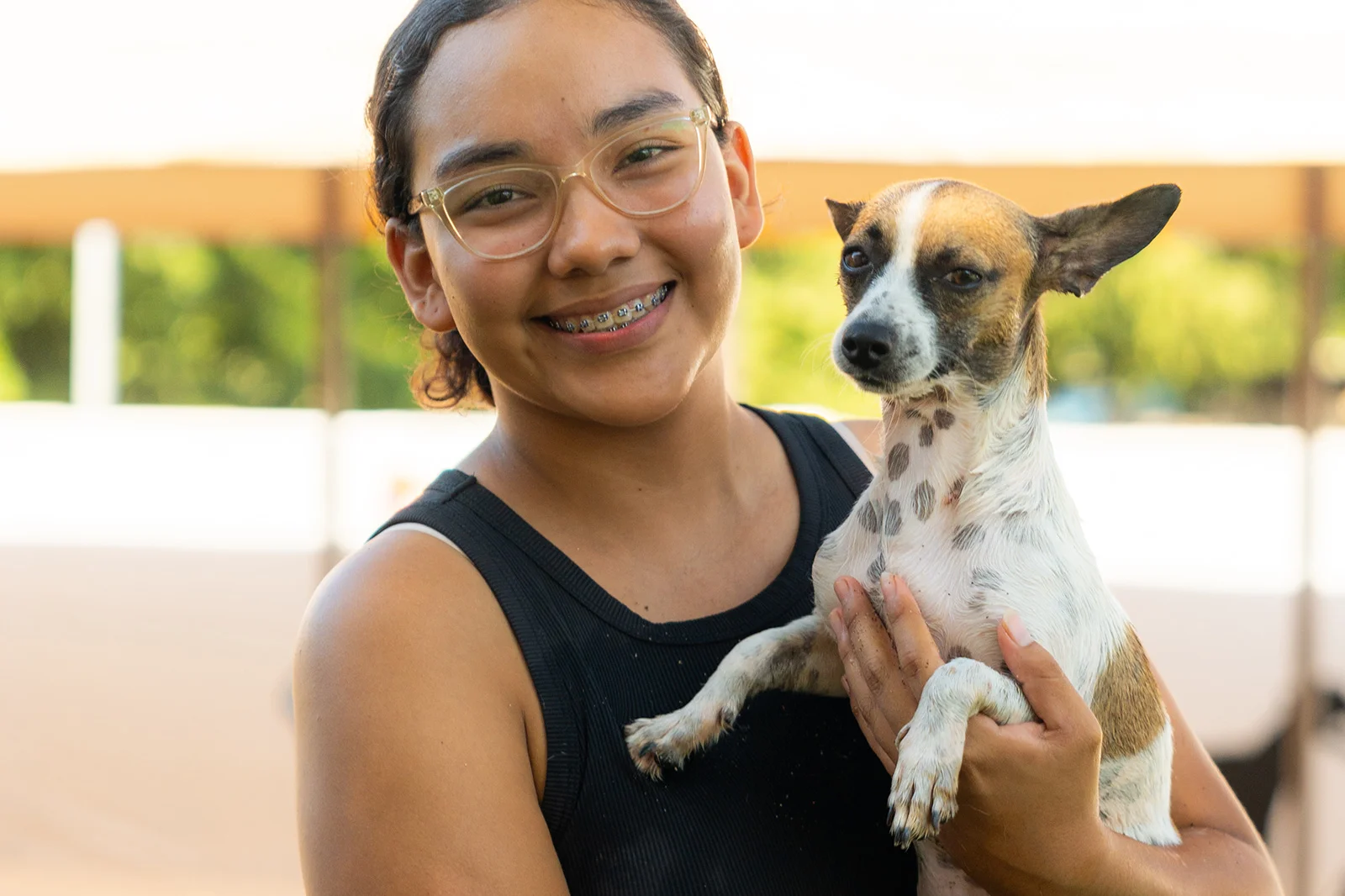 A Dog’s New Life Experience Emotions Resort & Suites