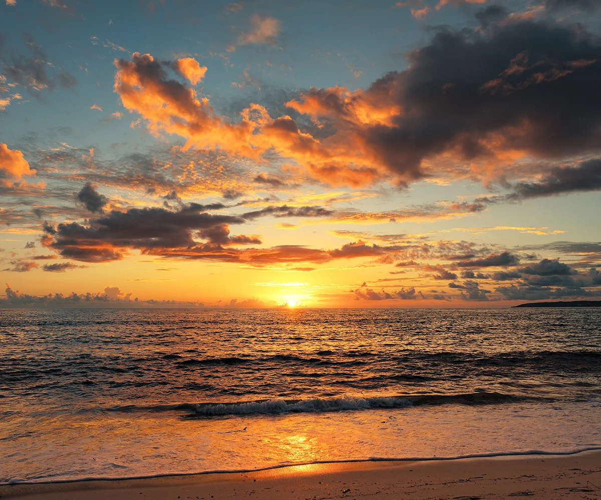 Explore Nuevo Vallarta and its surroundings