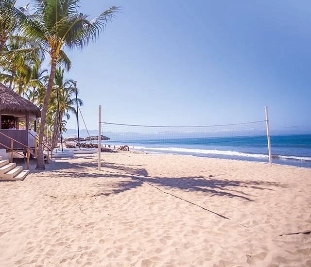 Volleyball court