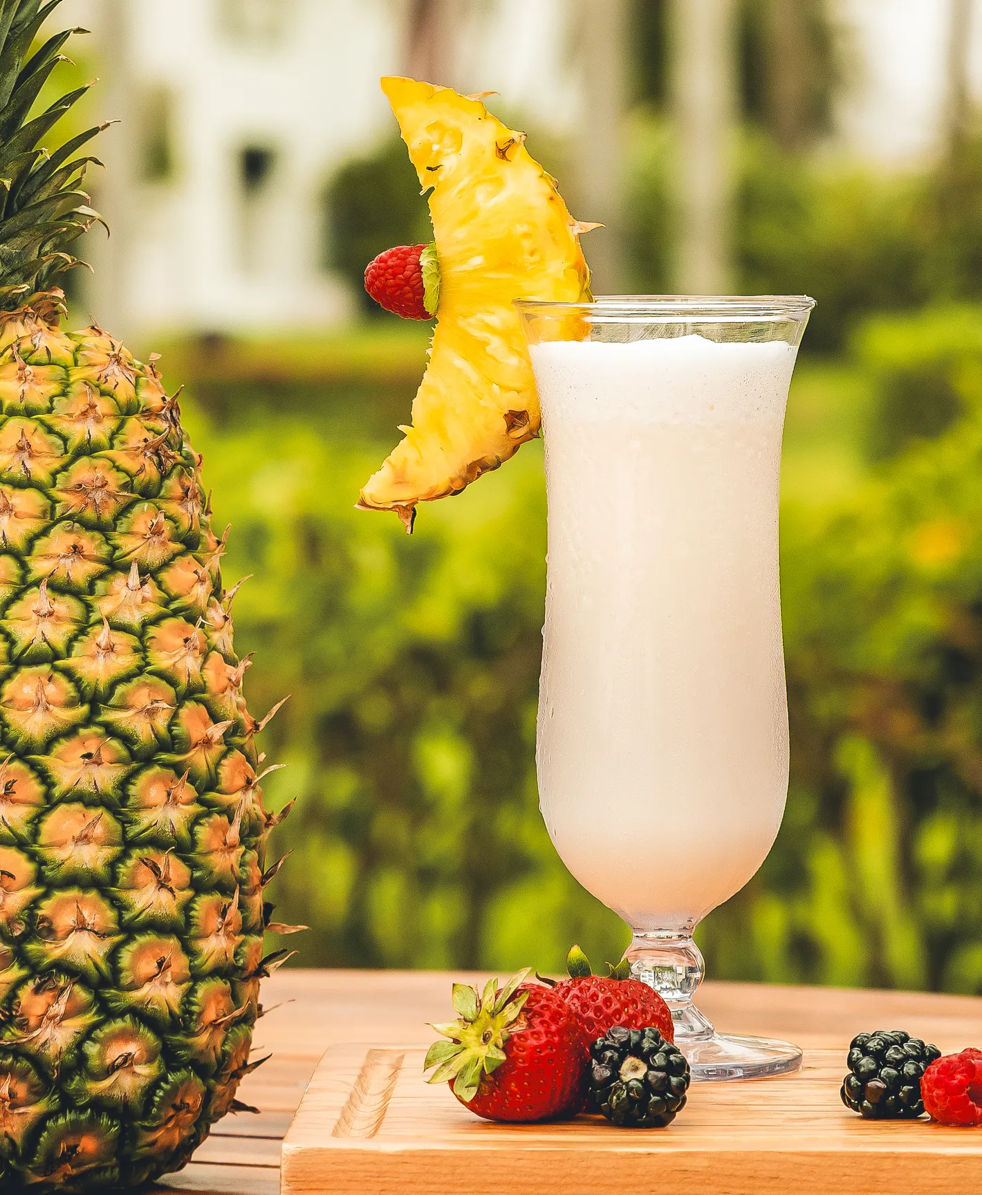 Gourmet dish served at the resort