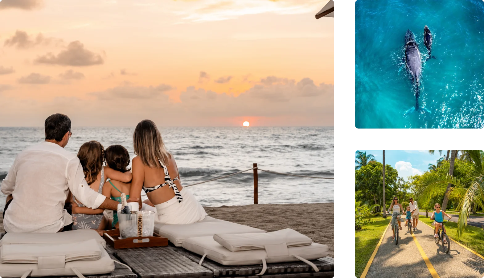 Hot deal 2025 Punta de Mita